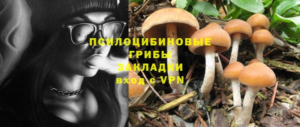 тгк Аркадак